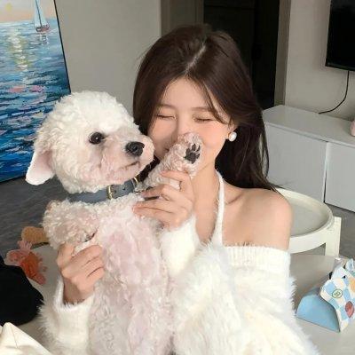 东北插班生2虎啸风声